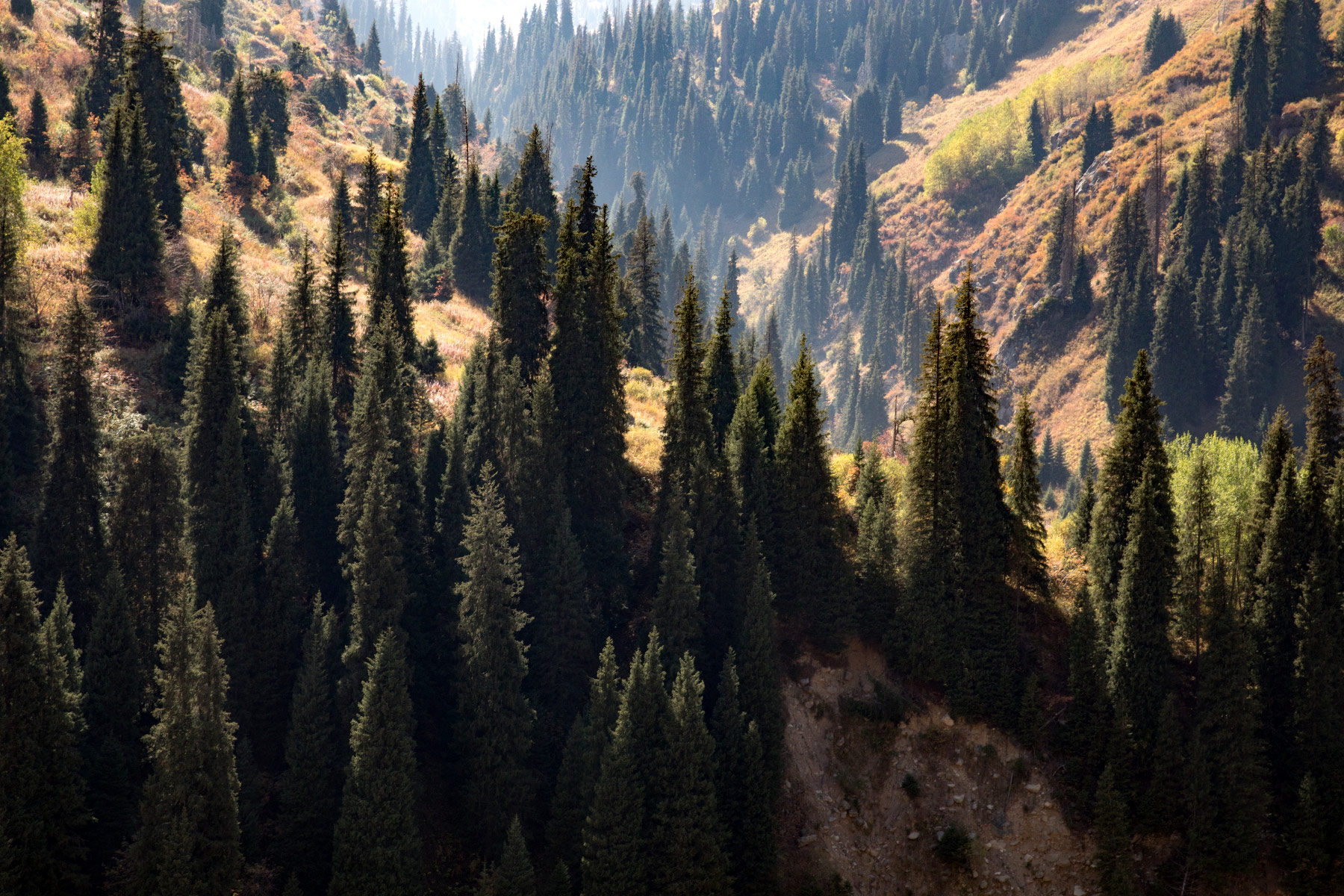 Almaty (Алма-Ата)